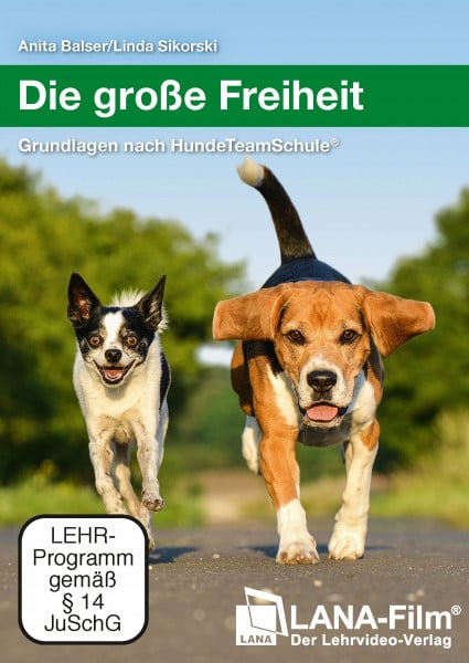Balser, Anita Die große Freiheit: Grundlagen nach HundeTeamSchule®