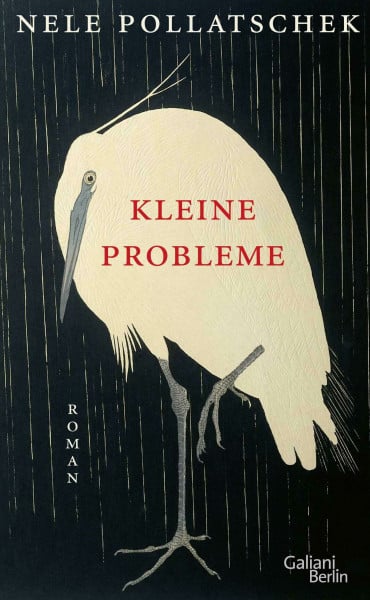 Pollatschek, Nele Kleine Probleme: Roman