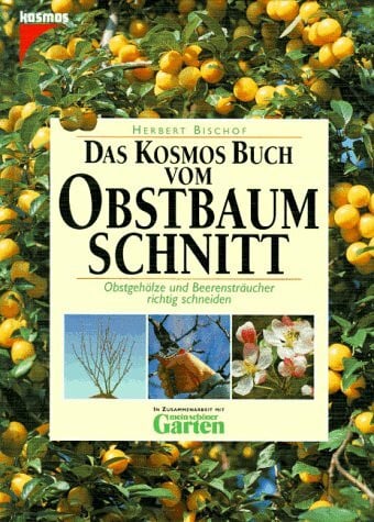 Bischof, Herbert Das Kosmos Buch vom Obstbaumschnitt
