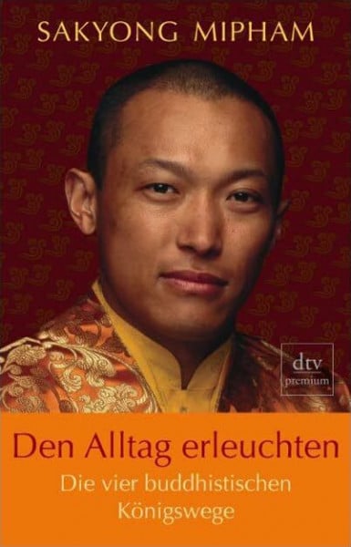 Schuhmacher, Stephan Den Alltag erleuchten: Die vier buddhistischen Königswege (dtv Fortsetzungsnummer 0)