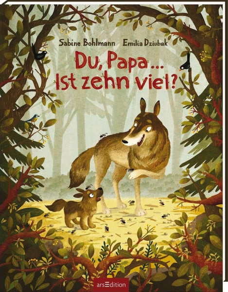 Bohlmann, Sabine Du, Papa ... Ist zehn viel?: Kinderbuch ab 3, Geschichte von Papa und Kind über die Kraft von Fragen und Liebhaben (Biderbuch-Duo Sabine Bohlmann und Emilia Dziubak)