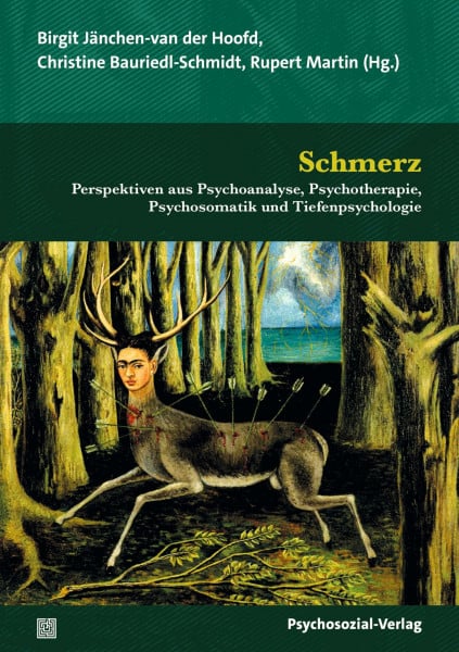 Jänchen-van der Hoofd, Birgit Schmerz: Perspektiven aus Psychoanalyse, Psychotherapie, Psychosomatik und Tiefenpsychologie (Bibliothek der Psychoanalyse)