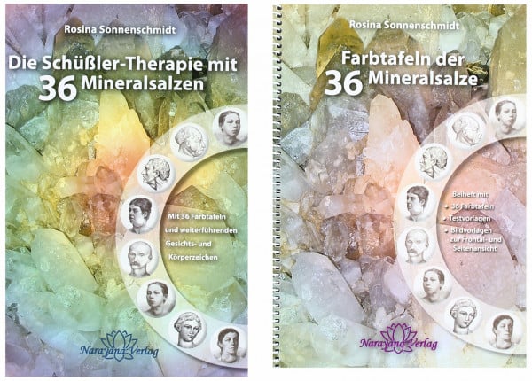 Sonnenschmidt, Rosina Die Schüßler-Therapie mit 36 Mineralsalzen: Mit 36 Farbtafeln und weiterführenden Gesichts- und Körperzeichen 2 Bände (Lehrbuch mit Farbtafelnbeiheft)