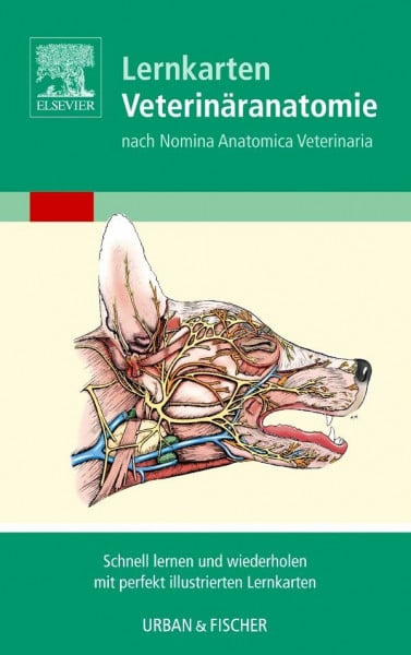 Singh BVSc MVSc PhD, Baljit Lernkarten Veterinäranatomie/Veterinary Anatomy Flash Cards: Nach Nomina Anatomica Veterinaria. Schnell lernen und wiederholen mit perfekt illustrierten Lernkarten