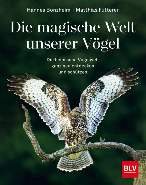 Futterer, Matthias Die magische Welt unserer Vögel: Die heimische Vogelwelt ganz neu entdecken und schützen (BLV Vögel)