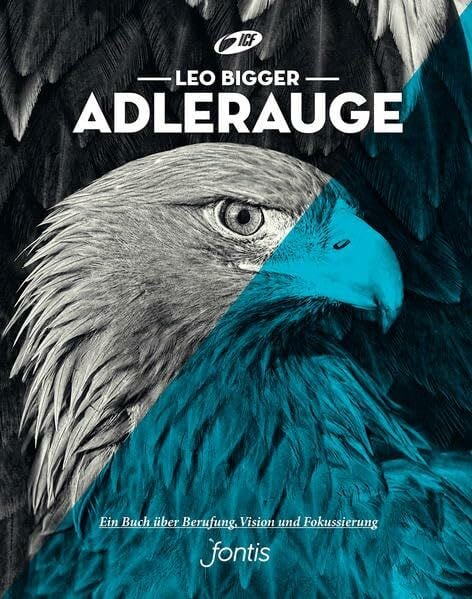 Bigger, Leo Adlerauge: Ein Buch über Berufung, Vision und Fokussierung