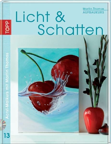 Thomas, Martin Aufbaukurs Licht & Schatten, m. DVD