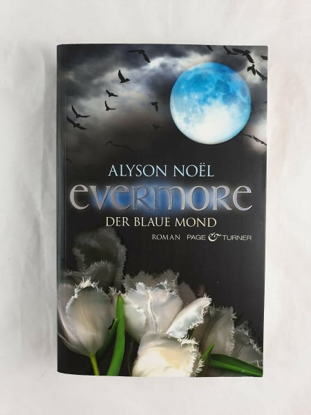 Noël, Alyson Evermore 2 - Der blaue Mond: Roman