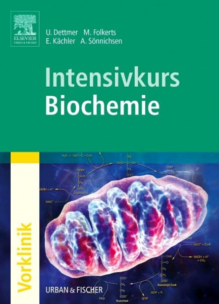 Sönnichsen, Andreas Intensivkurs Biochemie