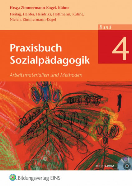 Kühne, Norbert Praxisbuch Sozialpädagogik: Arbeitsmaterialien und Methoden / Band 4: Schülerband