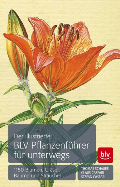 Caspari, Claus Der illustrierte BLV Pflanzenführer für unterwegs: 1150 Blumen, Gräser, Bäume und Sträucher (BLV Naturführer)