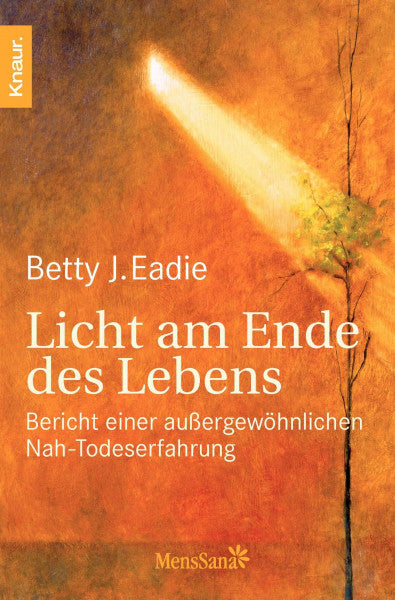 Melvin Morse Licht am Ende des Lebens: Bericht einer außergewöhnlichen Nah-Todeserfahrung