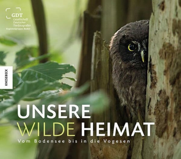 Gesellschaft Deutscher Tierfotografen Regionalgruppe Baden Unsere wilde Heimat: Vom Bodensee bis in die Vogesen