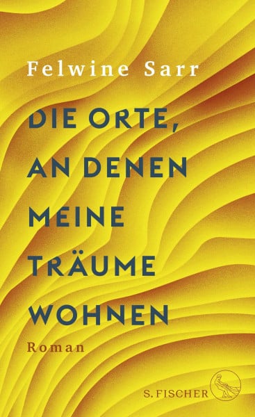 Heinemann, Doris Die Orte, an denen meine Träume wohnen: Roman