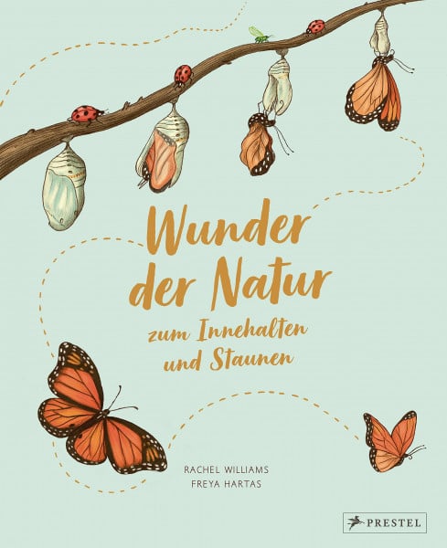 Williams, Rachel Wunder der Natur zum Innehalten und Staunen: 50 kleine Geschichten über alltägliche Naturereignisse (Wunder der Natur-Reihe, Band 1)