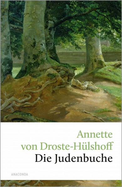 Droste-Hülshoff, Annette von Die Judenbuche: Ein Sittengemälde aus dem gebirgigten Westfalen (Große Klassiker zum kleinen Preis, Band 32)