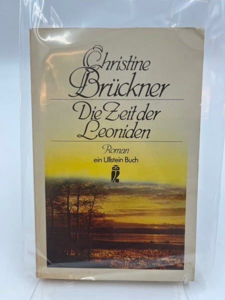 Brückner, Christine Die Zeit der Leoniden.