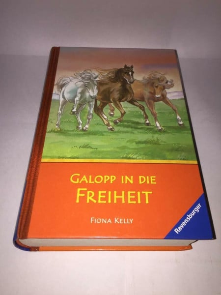 Wiemken, Simone Galopp in die Freiheit: Pferdedieben auf der Spur; Derby der Diebe