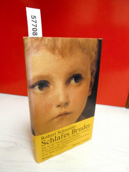 Schneider, Robert Schlafes Bruder: Roman