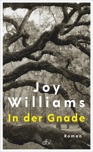Williams, Joy In der Gnade: Roman | »Joy Williams ist ein Geschenk.« Bernd Ulrich, DIE ZEIT