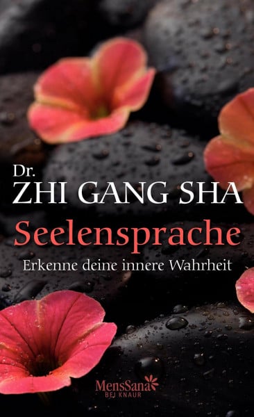 Herrmann, Peter Seelensprache: Erkenne deine innere Wahrheit