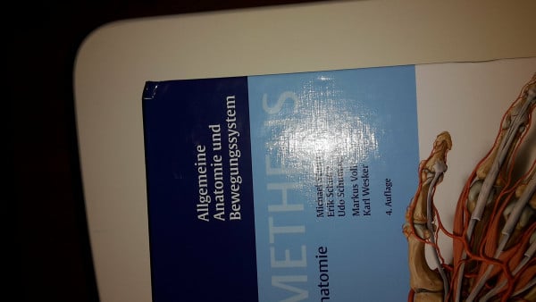 Schünke, Michael PROMETHEUS Allgemeine Anatomie und Bewegungssystem (LernAtlas der Anatomie) (Prometheus: LernAtlas der Anatomie)
