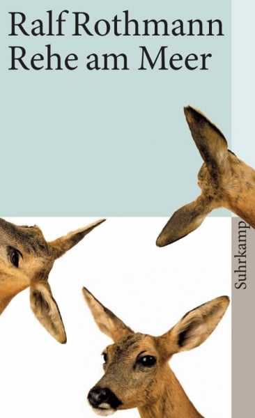 Rothmann, Ralf Rehe am Meer: Erzählungen (suhrkamp taschenbuch)