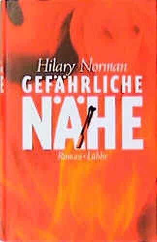 Norman, Hilary Gefährliche Nähe: Thriller (Lübbe Belletristik)