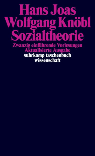 Joas, Hans Sozialtheorie: Zwanzig einführende Vorlesungen (suhrkamp taschenbuch wissenschaft)