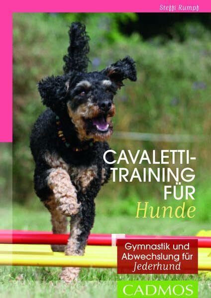 Rumpf, Steffi Cavalettitraining für Hunde: Gymnastik und Abwechslung für Jederhund (Cadmos Hundebuch)