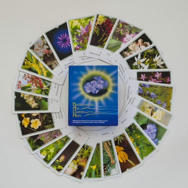 Maly, Ilse Bachblüten-Karten: Karten - Deutsch. Blüten als Chance und Hilfe: Kartenset mit allen 39 Bachblütenfotos