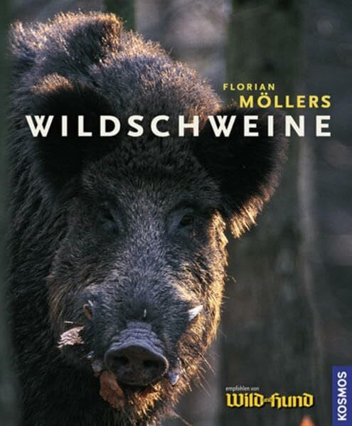 Möllers, Florian Wildschweine