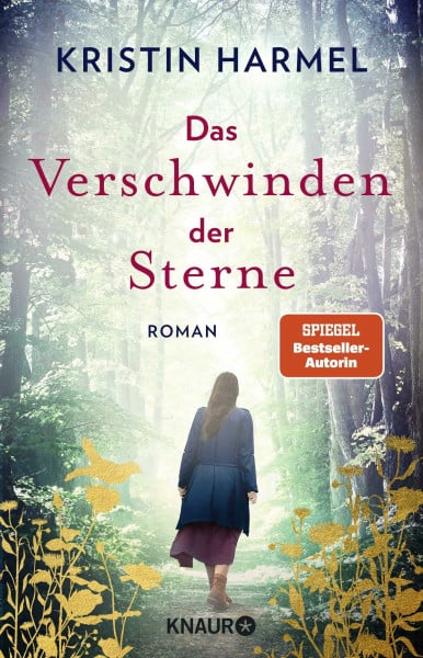 Harmel, Kristin Das Verschwinden der Sterne: Roman