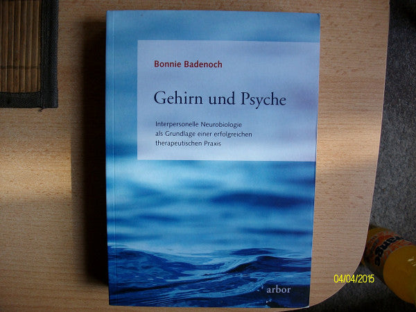 Brandenburg, Peter Gehirn und Psyche: Interpersonelle Neurobiologie als Grundlage einer erfolgreichen therapeutischen Praxis