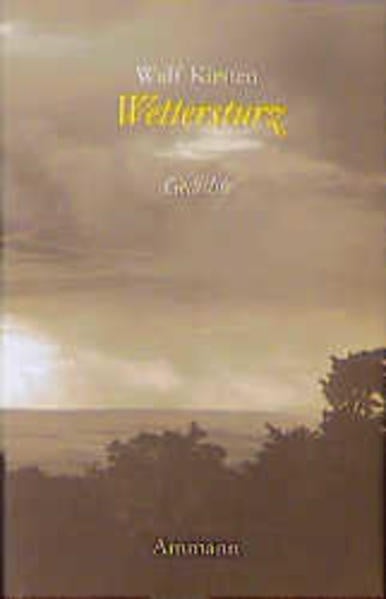 Kirsten, Wulf Wettersturz: Gedichte 1993-1998