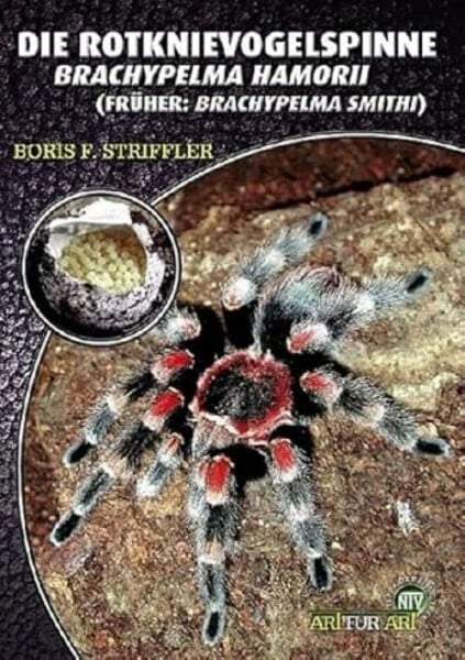 Boris F. Striffler Die Rotknievogelspinne. Brachypelma smithi