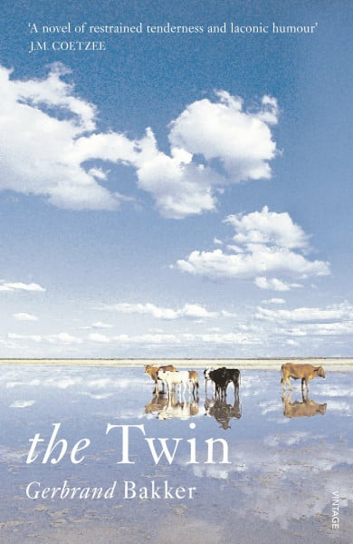 Colmer, David The Twin (English Edition)