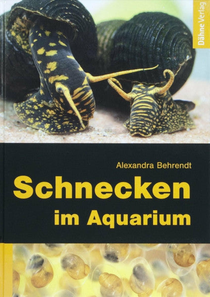 Alexandra Behrendt Schnecken im Aquarium