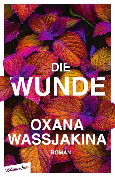 Rajer, Maria Die Wunde: Roman