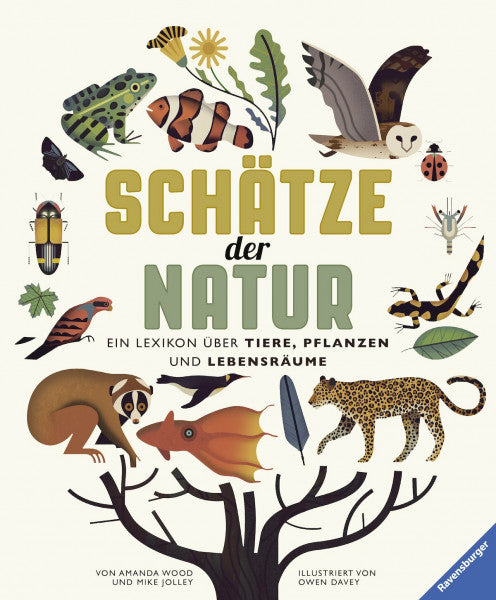Wood, Amanda Schätze der Natur: Ein Lexikon über Tiere, Pflanzen und Lebensräume