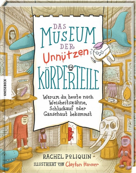 Panzacchi, Dr. Cornelia Das Museum der unnützen Körperteile: Warum du heute noch Weisheitszähne, Schluckauf oder Gänsehaut bekommst