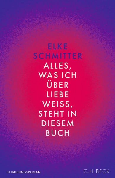 Schmitter, Elke Alles, was ich über Liebe weiß, steht in diesem Buch: Einbildungsroman