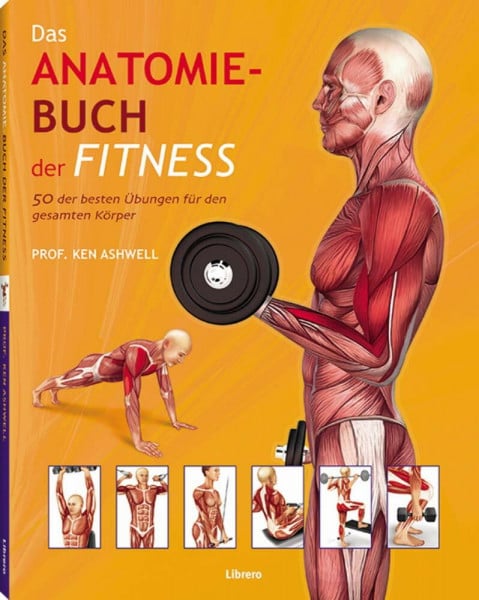 Ashwell, Ken Das Anatomie-Buch der Fitness: 50 der besten Übungen für den gesamten Körper